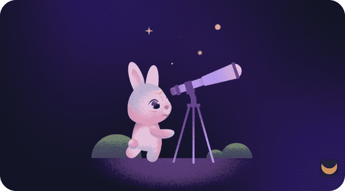 rabbit watching stars